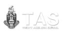 thenextone-logo-tas